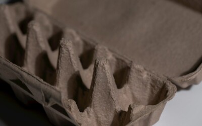 Paprasta, bet naudinga: sužinokite, kaip kiaušinių dėžutės gali palengvinti kasdienybę