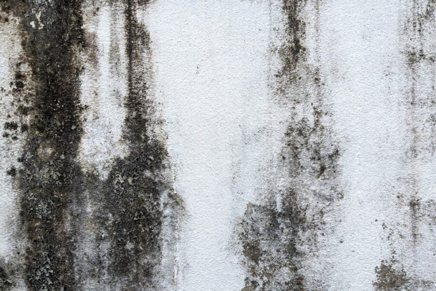 Kova su juoduoju pelėsiu vonioje: paprastas sodos ir acto mišinys gali padėti sumažinti dėmes