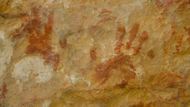 Netikėta mokslininkų išvada: neandertaliečių DNR žmonėse galėjo lemti partnerių pasirinkimas