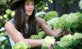 A woman in a hat picking flowers from a bush