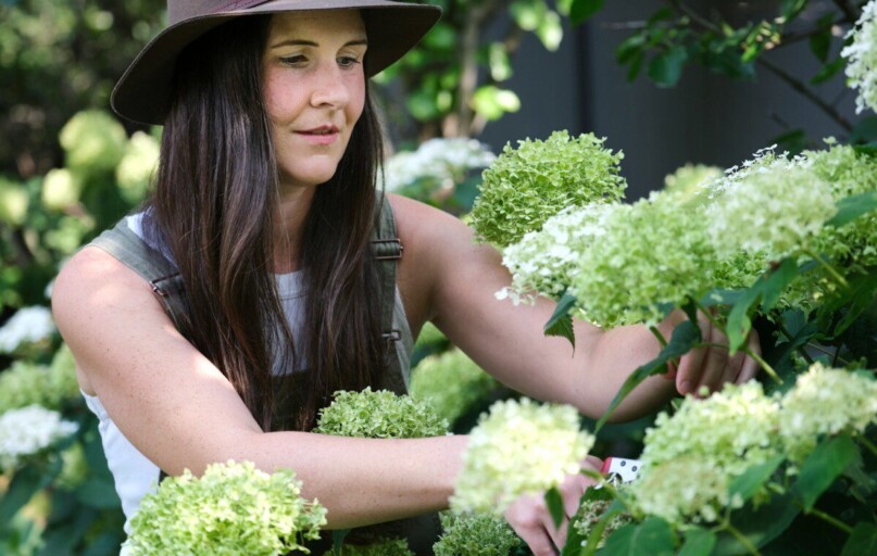 A woman in a hat picking flowers from a bush
