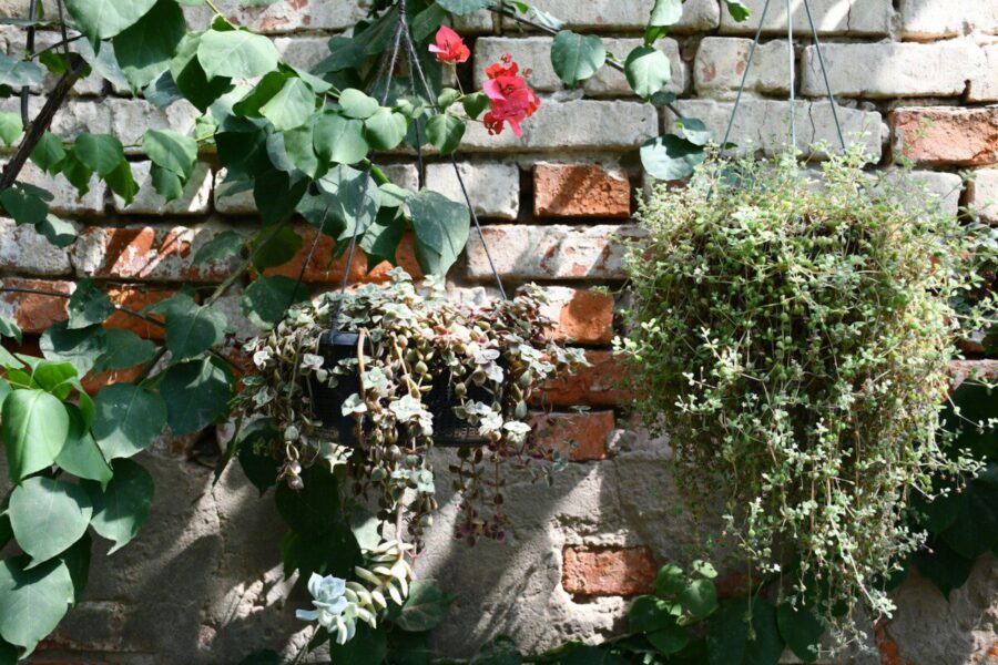 Paprastos pavasarinės dekoracijos namams ir sodui: idėjos, kurias lengva įgyvendinti