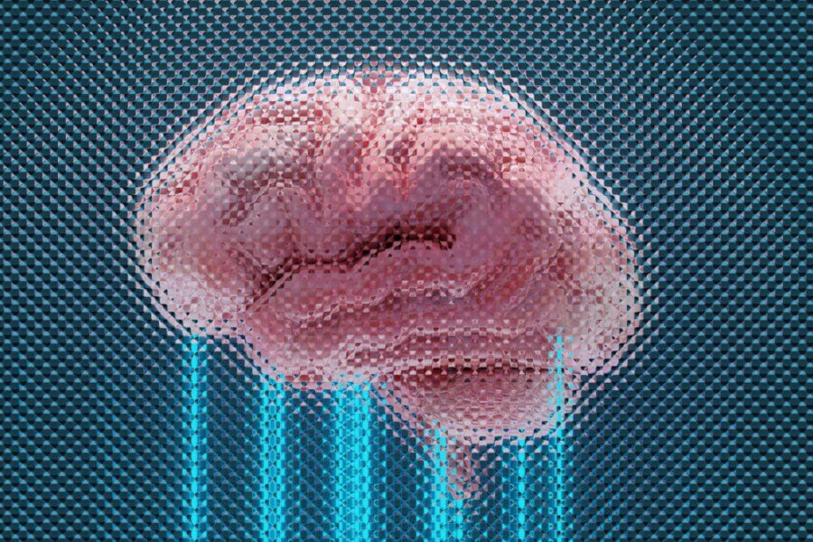 Mokslininkų proveržis: laboratorijoje išaugintos mini smegenys išmoko valdyti virtualų vežimėlį