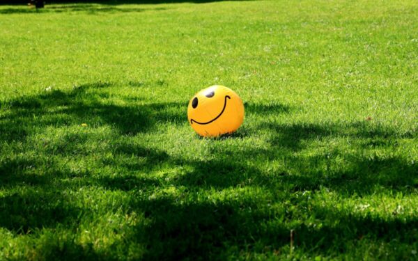 Svarbiausia ne pinigai ar sėkmė: 88 metus vykstantis tyrimas atskleidė laimės pagrindą