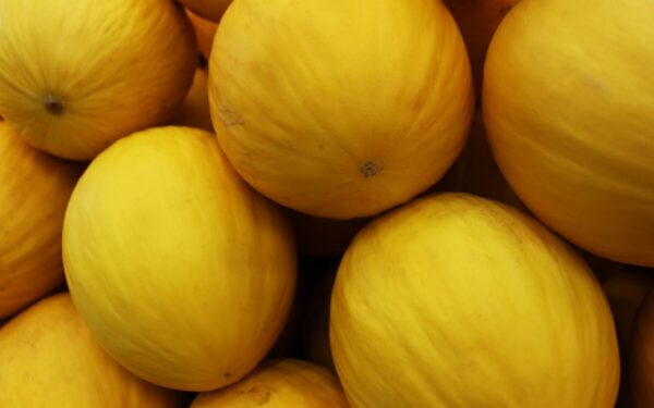 Melionas ir virškinimas: sužinokite, kaip šis vaisius veikia žarnyną ir kada geriausia jį valgyti