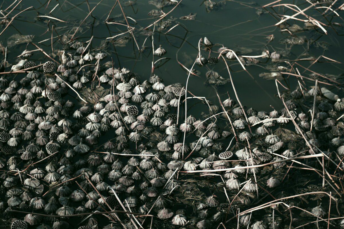 Problema, apie kurią kalbama per mažai: „Kuranos“ vadovas įvardijo, kas iš tiesų stabdo biometano plėtrą