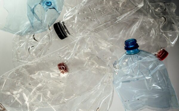 Ekologija namuose: sužinokite, kaip iš plastikinių butelių pagaminti plokštes ūkio darbams