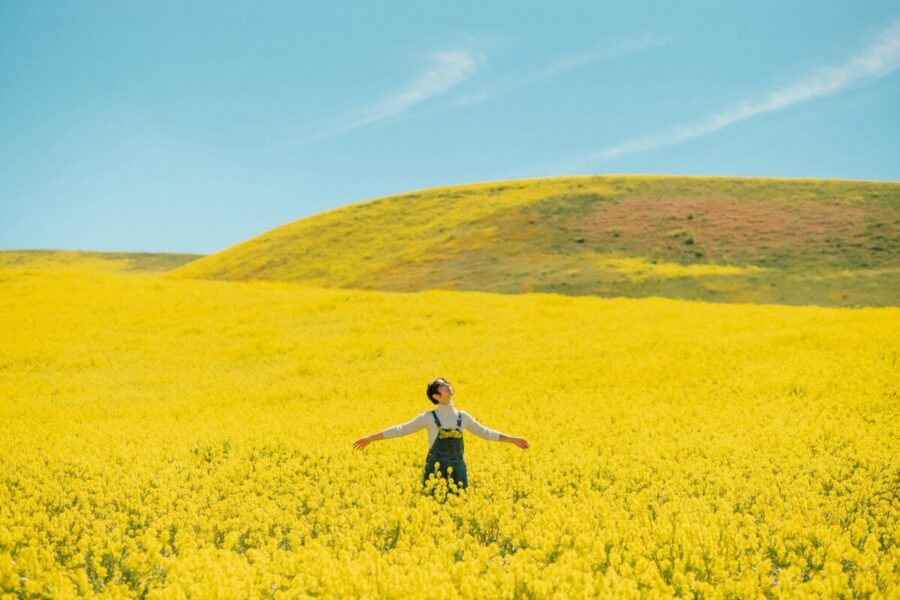 a person standing in a field of yellow flowers