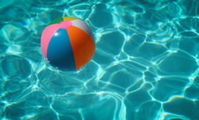white and multicolored beach ball