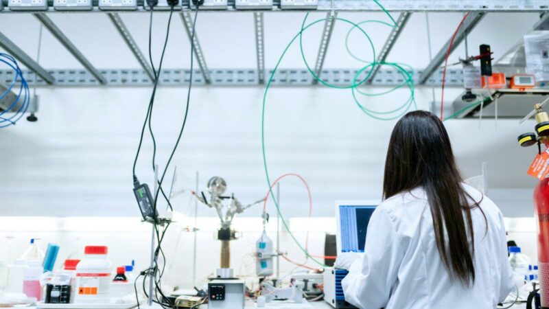 Programuojama biologija: mokslininkai išmokė neuronų ląsteles žaisti kompiuterinį žaidimą „Doom“