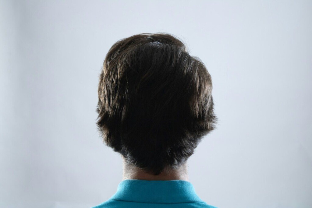 The back of a man's head in a blue shirt