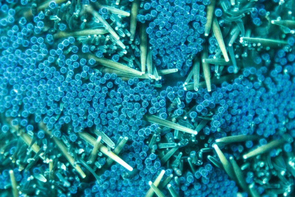 a bunch of screws that are on a blue surface