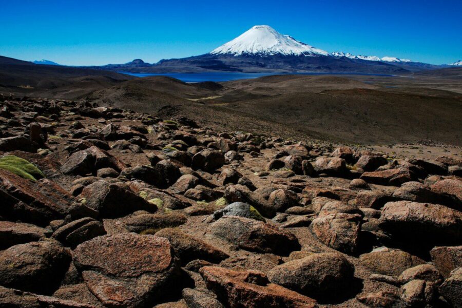 Naujas tyrimas keičia požiūrį į Atakamos dykumą: dirvožemyje rasta daugiau gyvybės, nei manyta iki šiol