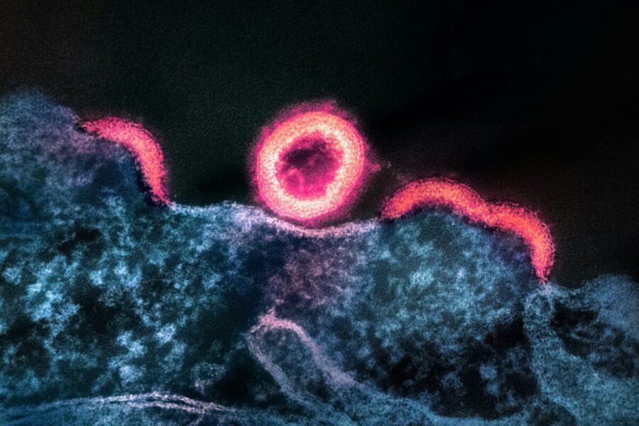 Svarbu Marso misijoms: mokslininkai senovinėse uolienose aptiko mikrobų struktūras