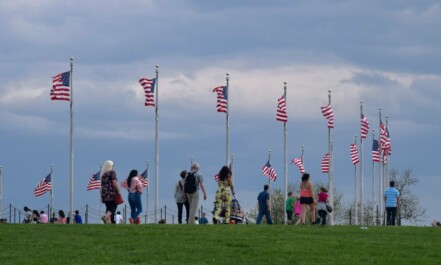 a group of people standing on top of a lush green field