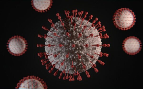 Ar laukia nauja pandemija? Mokslininkai paaiškino, kodėl mirtinas „Nipah“ virusas yra toks pavojingas
