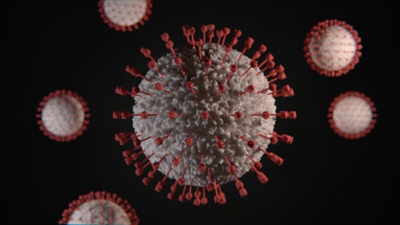 Ar laukia nauja pandemija? Mokslininkai paaiškino, kodėl mirtinas „Nipah“ virusas yra toks pavojingas