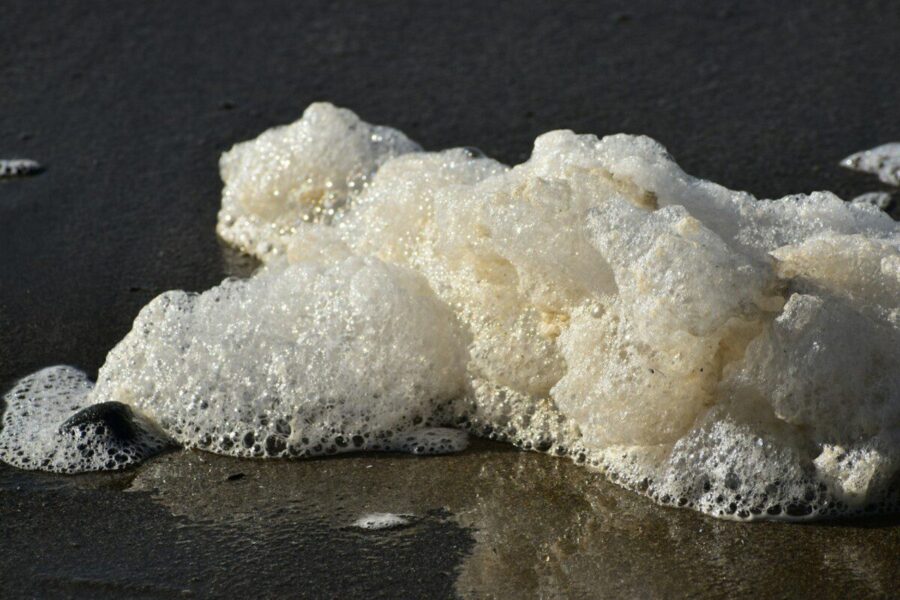 Virškinimo problemos ir mikrobiota: sužinokite, koks mažai žinomas junginys gali būti itin svarbus žarnynui