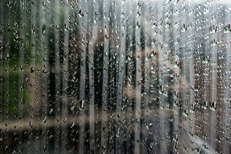 Drėgmė namuose kelia grėsmę sveikatai: sprendimas, kuris beveik nieko nekainuoja