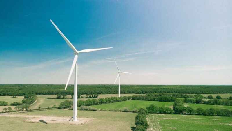 Sausio statistika pakeitė įprastą vaizdą: LEA apie augantį vėjo jėgainių indėlį elektros gamyboje