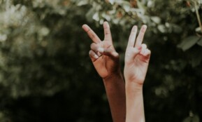 persons hand with white snow