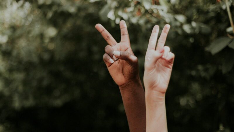 „Human Rights Watch“ atkreipia dėmesį į tendencijas, kurios kelia grėsmę JAV demokratijai