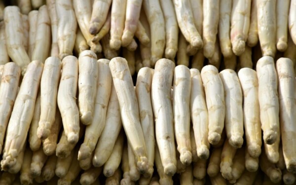 Svarbiausi pasirinkimo kriterijai: paprastos taisyklės kiekvienam, kaip neapsigauti perkant krienus