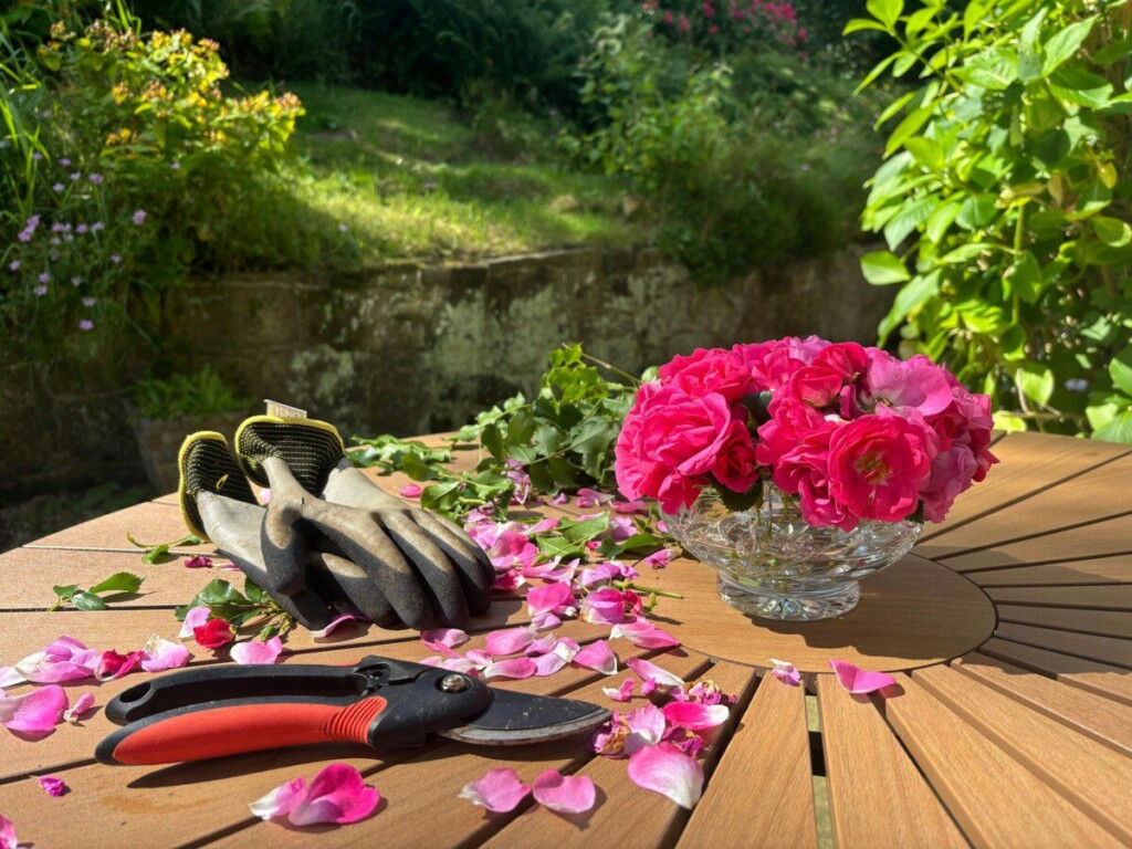 A wooden table topped with pink flowers and gardening utensils