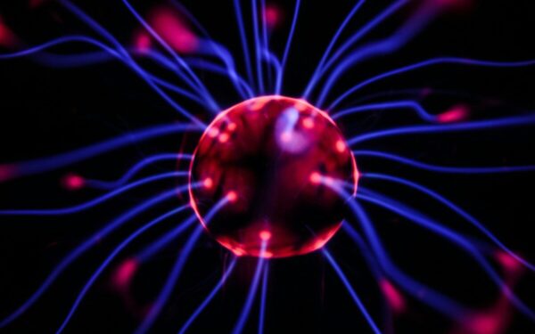 Jį nešioja kas trečias planetos gyventojas: šis parazitas smegenyse yra daug pavojingesnis nei manyta