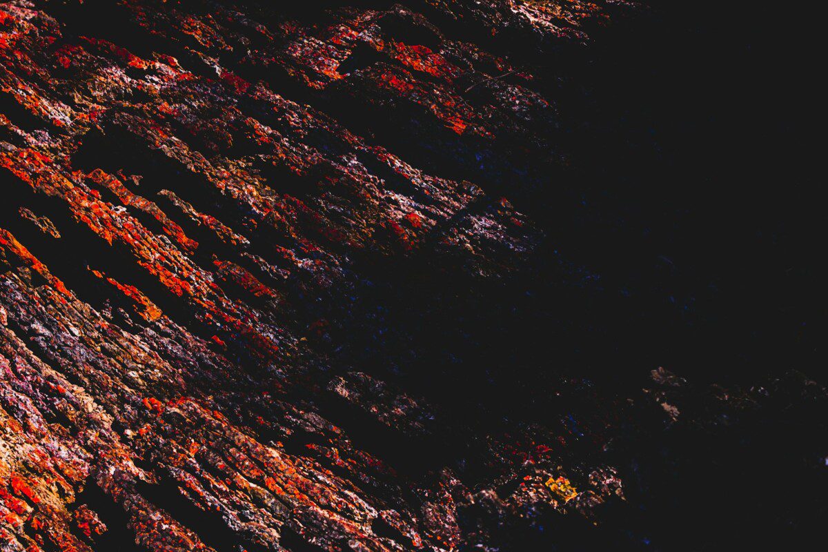 Tyla prieš audrą moksle: šis atradimas gali visiškai pakeisti fosilijų paieškas visame pasaulyje