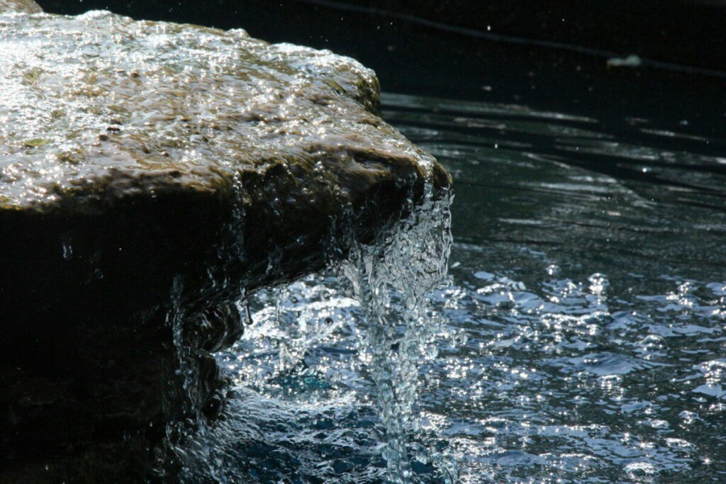 a bird is standing on a rock in the water