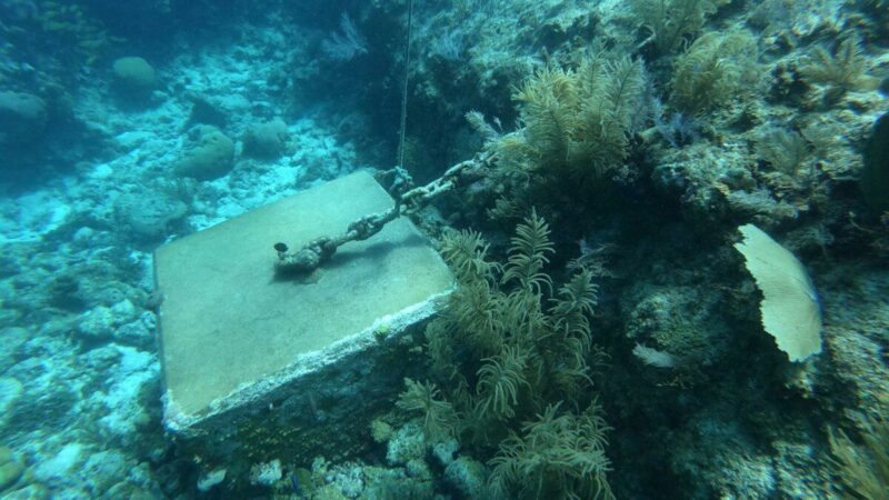 Nuo padangų iki minų: „SeaClear2.0“ robotai su dirbtiniu intelektu dirba ten, kur pavojinga žmonėms