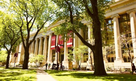 white university during daytime