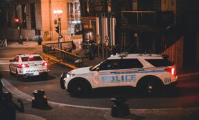 police cars on a street