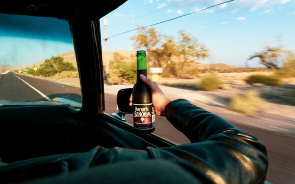 Neblaivus vairuotojas nepasimokė: kuo kauniečiui baigėsi pakartotinis pažeidimas?