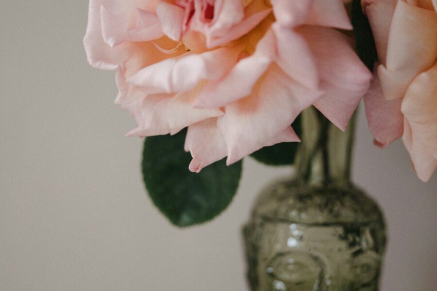 Svarbiausi priežiūros patarimai: floristė paaiškino, kas iš tiesų lemia rožių ilgaamžiškumą vazoje