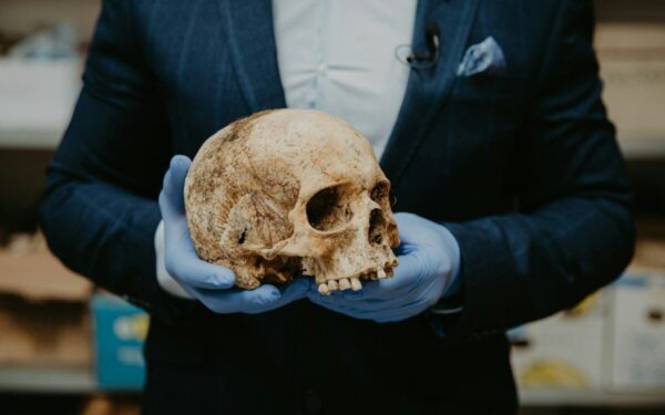 Tamsioji archeologijos pusė: sužinokite, kaip ir kokios klastotės metų metus klaidino mokslininkus