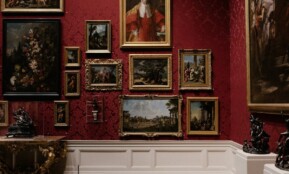 assorted picture frames on wall