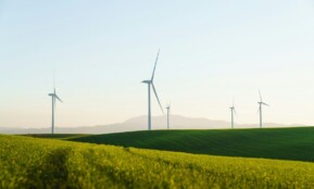 a field of green grass with wind turbines in the background