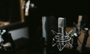 macro photography of silver and black studio microphone condenser