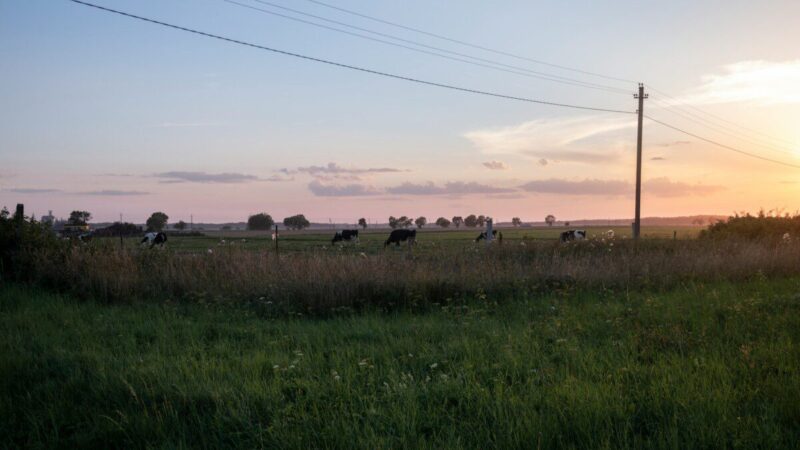 Pinigai, kuriuos galite prarasti: iki 900 eurų už žemę vis dar pasiekiami, bet ar jau supildėte dokumentus?