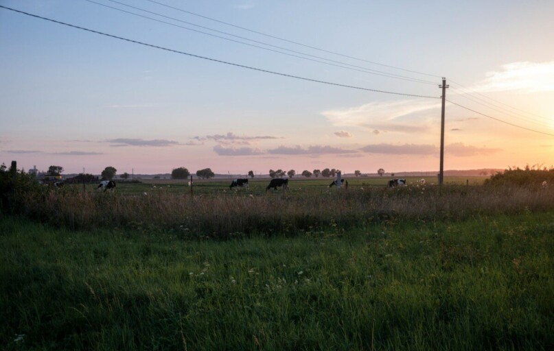 green grass field under blue sky during daytime