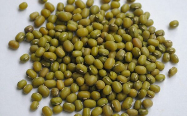 Mung pupelės: sužinokite, kuo jos naudingos sveikatai ir kaip jas tinkamai paruošti