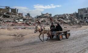 Donkey cart travels through a war-torn landscape.