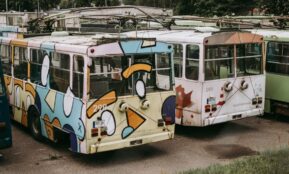 white and blue volkswagen t-2