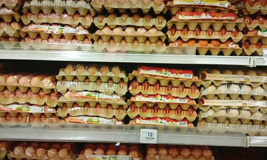 a display in a grocery store filled with lots of eggs