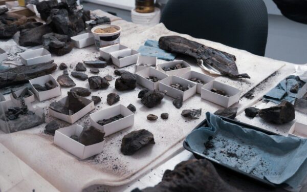 Išskirtinis atradimas Patagonijoje: naujos įžvalgos apie paukščius primenančius dinozaurus