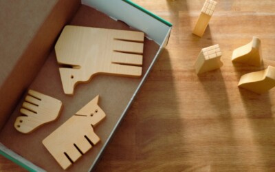 Nustebsite, ką gali batų dėžė: trys paprasti ir kūrybiški būdai panaudoti ją namuose