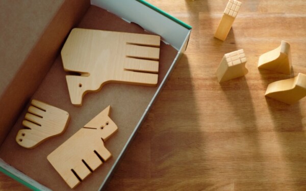 Nustebsite, ką gali batų dėžė: trys paprasti ir kūrybiški būdai panaudoti ją namuose