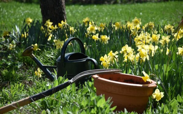 Svarbiausi balandžio darbai darže: sodininkų gidas, kokias daržoves sėti ir kada sodinti daigus